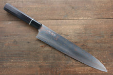  Takeshi Saji Blue Steel No.2 Colored Damascus Gyuto 270mm Ebony with Ring Handle - Seisuke Knife
