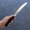 Shizu VG10 Damascus Steak 130mm Black Pakka wood Handle - Seisuke Knife