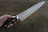 Takeshi Saji Blue Steel No.2 Colored Damascus Gyuto 240mm Ironwood Handle - Seisuke Knife