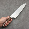 Takeshi Saji VG10 Hammered Damascus Cross Gyuto210mm Ironwood Handle - Seisuke Knife