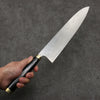 Takeshi Saji Maki-e Art Red Fuji Sheath SG2 Damascus Gyuto  270mm Maki-e Art Handle with Sheath - Seisuke Knife