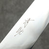 Seisuke VG10 Mirrored Finish Sujihiki  240mm Stabilized wood Handle - Seisuke Knife