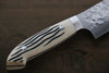 Takeshi Saji SRS13 Hammered Gyuto  210mm Cow Bone Handle - Seisuke Knife