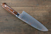 Takeshi Saji Blue Steel No.2 Colored Damascus Santoku 180mm Ironwood Handle - Seisuke Knife