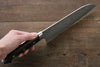 Takeshi Saji R2/SG2 Black Damascus Santoku Japanese Knife 180mm Nomura Iron Wood Handle - Seisuke Knife