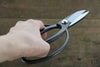 Sakai Takayuki Bonsai Scissors 180mm - Seisuke Knife