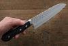 Seisuke VG1 Japanese Santoku 165mm & Petty 135mm  Pakka wood Handle - Seisuke Knife