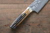 Takeshi Saji VG10 Black Damascus Gyuto  240mm Brown Cow Bone Handle - Seisuke Knife