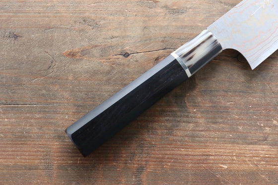 Takeshi Saji Blue Steel No.2 Colored Damascus Gyuto  240mm Ebony with Ring Handle - Seisuke Knife