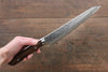 Takeshi Saji SRS13 Hammered Damascus Kengata Gyuto Japanese Knife 240mm Ironwood Handle - Seisuke Knife