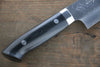 Takeshi Saji SRS13 Hammered Gyuto Japanese Knife 210mm Black Micarta Handle - Seisuke Knife