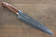  Takeshi Saji SRS13 Hammered Gyuto 240mm Ironwood Handle - Seisuke Knife
