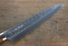 Takeshi Saji SRS13 Hammered Gyuto 240mm Ironwood Handle - Seisuke Knife