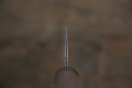 Takeshi Saji VG10 Black Damascus Gyuto 210mm Shitan Handle - Seisuke Knife