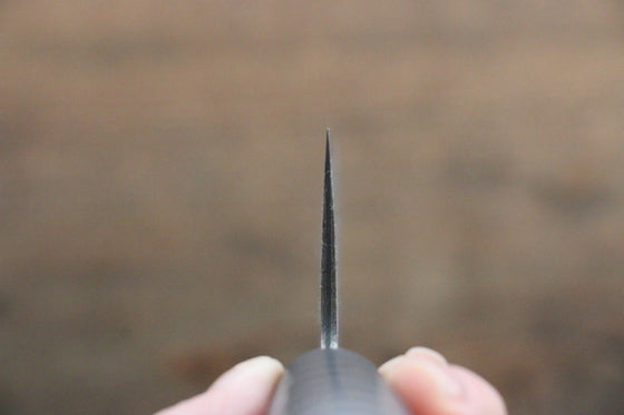 Takeshi Saji VG10 Damascus Gyuto Japanese Knife 240mm Cashew paint (Black) Handle - Seisuke Knife