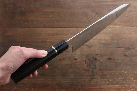 Takeshi Saji R2/SG2 Mirrored Finish Damascus Gyuto Japanese Knife 240mm Ebony with Ring Handle - Seisuke Knife