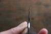 Takeshi Saji R2/SG2 Mirrored Finish Damascus Gyuto Japanese Knife 240mm Ebony with Ring Handle - Seisuke Knife