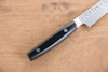 Seisuke PRO-J VG10 Hammered Petty-Utility Japanese Knife 120mm Black Micarta Handle - Seisuke Knife