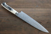 Takeshi Saji R2/SG2 Diamond Finish Damascus Gyuto Japanese Chef Knife 210mm - Seisuke Knife