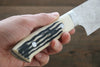 Takeshi Saji R2/SG2 Diamond Finish Damascus Gyuto  240mm Cow Bone Handle - Seisuke Knife