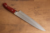 Takeshi Saji SRS13 Hammered Gyuto 240mm Red Micarta Handle - Seisuke Knife