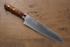 Takeshi Saji Blue Steel No.2 Colored Damascus Gyuto 210mm Ironwood Handle - Seisuke Knife