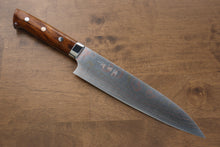  Takeshi Saji Blue Steel No.2 Colored Damascus Gyuto Japanese Knife 210mm Ironwood Handle - Seisuke Knife