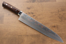  Takeshi Saji Blue Steel No.2 Colored Damascus Gyuto Japanese Knife 270mm Ironwood Handle - Seisuke Knife