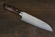  Takeshi Saji SG2 Diamond Finish Japanese Santoku Kitchen Chef Knife 180mm with Ironwood Handle - Seisuke Knife
